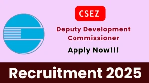 CSEZ Deputy Development Commissioner Recruitment 2025 - Apply Offline for 01 Posts CSEZ Deputy Development Commissioner Recruitment 2025 - Apply Offline for 01 Posts