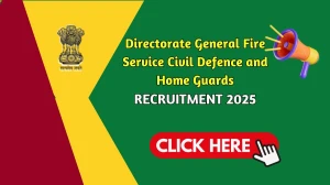 Directorate General Fire Service Civil Defence and Home Guards Junior Staff Officer Recruitment 2025 - Apply Offline for 2 Posts