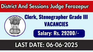 District And Sessions Judge Ferozepur Recruitment 2025 - Apply Offline for 47 Clerk, Stenographer Grade III Posts