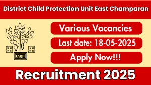 District Child Protection Unit East Champaran Recruitment 2025 - Apply Offline for 07 Cook, Educator and Other Posts