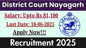District Court Nayagarh Recruitment 2025 - Apply Offline for 18 Stenographer, Junior Typist and Other Posts