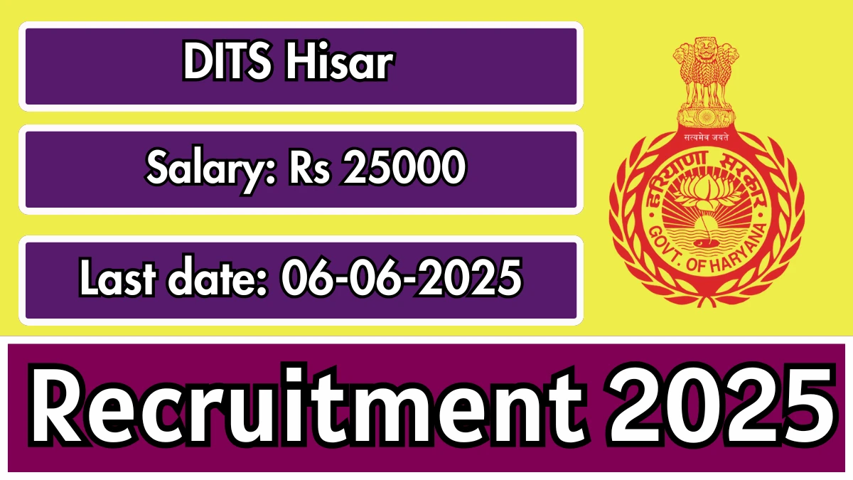 DITS Hisar Retired Accounts Officer Job Vacancy 2025 - Apply Offline