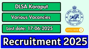 DLSA Koraput Recruitment 2025 - Apply Offline for 05 Chief Legal, Assistant Legal and Other Posts