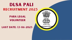DLSA Pali Para Legal Volunteer Recruitment 2025 - Apply Offline for 15 Posts