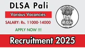 DLSA Pali Recruitment 2025 - Apply Offline for 07 Office Assistant, Office Peon and More Posts DLSA Pali Recruitment 2025 - Apply Offline for 07 Office Assistant, Office Peon and More Posts