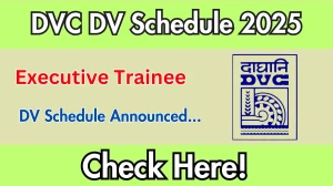 DVC Executive Trainee DV Schedule 2025: Check Document Verification Date @ dvc.gov.in DVC Executive Trainee DV Schedule 2025: Check Document Verification Date @ dvc.gov.in