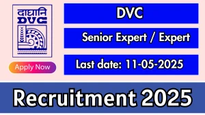 DVC Senior Expert / Expert Recruitment 2025 - Apply Online for 03 Posts