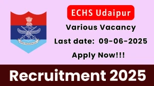 ECHS Udaipur Recruitment 2025 - Apply Offline for 03 Medical Officer, Pharmacist and Other Posts