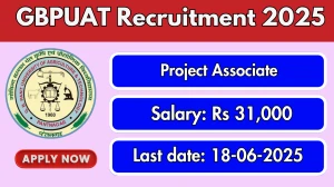 GBPUAT Project Associate Recruitment 2025 - Apply Offline for 01 Posts