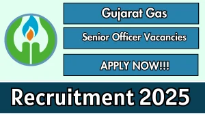 Gujarat Gas Senior Officer Recruitment 2025 - Apply Online