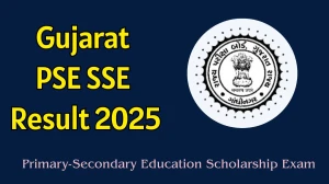 Gujarat PSE SSE Result 2025 Out at sebexam.org How to check Results Here