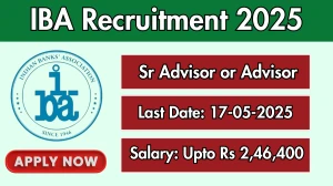 IBA Senior Advisor or Advisor Recruitment 2025 - Apply Online