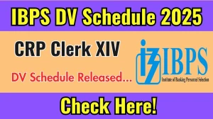 IBPS CRP Clerk XIV DV Schedule 2025: Check Document Verification Date @ ibps.in