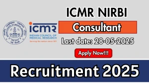 ICMR NIRBI Consultant Recruitment 2025 - Apply Offline