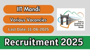 IIT Mandi Recruitment 2025 - Apply Online for Professor, Assistant Professor and More Posts IIT Mandi Recruitment 2025 - Apply Online for Professor, Assistant Professor and More Posts