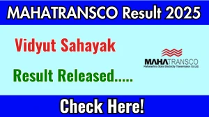 MAHATRANSCO Vidyut Sahayak Result 2025 Out at mahatransco.in, Direct Link to Download Result PDF Here MAHATRANSCO Vidyut Sahayak Result 2025 Out at mahatransco.in, Direct Link to Download Result PDF Here