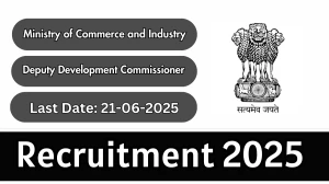 Ministry of Commerce and Industry Deputy Development Commissioner Recruitment 2025 - Apply Offline