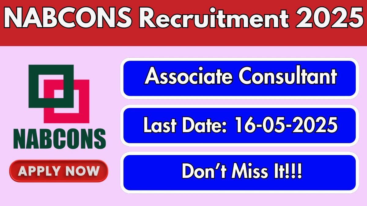 NABCONS Associate Consultant Recruitment 2025 - Apply Online