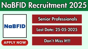 NaBFID Senior Professionals Recruitment 2025 - Apply Offline for 01 Posts NaBFID Senior Professionals Recruitment 2025 - Apply Offline for 01 Posts