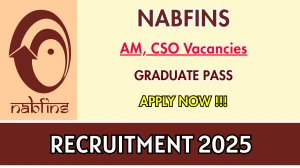 NABFINS Recruitment 2025 - Apply Online for Assistant Manager, Customer Service Officer Posts NABFINS Recruitment 2025 - Apply Online for Assistant Manager, Customer Service Officer Posts
