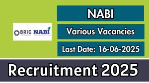 NABI Sarkari Job Vacancy 2025 - Apply Online for 04 Posts Project Manager, Principal Project Manager and More Posts NABI Sarkari Job Vacancy 2025 - Apply Online for 04 Posts Project Manager, Principal Project Manager and More Posts
