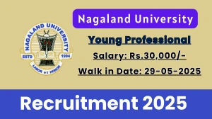 Nagaland University Young Professional Recruitment 2025 – Walk in