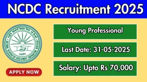 NCDC Young Professional Recruitment 2025 - Apply Offline NCDC Young Professional Recruitment 2025 - Apply Offline