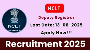 NCLT Deputy Registrar Recruitment 2025 - Apply Online NCLT Deputy Registrar Recruitment 2025 - Apply Online
