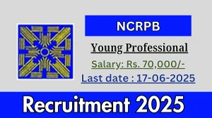 NCRPB Young Professional Recruitment 2025 - Apply Offline