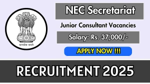 NEC Secretariat Junior Consultant Recruitment 2025 - Apply Offline for 01 Posts NEC Secretariat Junior Consultant Recruitment 2025 - Apply Offline for 01 Posts