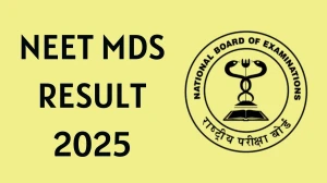 NEET MDS Result 2025 Out at natboard.edu.in How to check Results Here