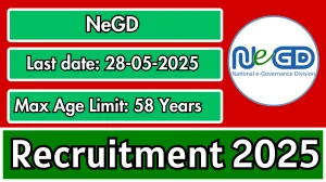 NeGD Assistant Manager/Deputy Manager Recruitment 2025 - Apply Offline