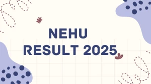 NEHU Result 2025 Released at nehu.ac.in Direct Link to Download 1st, 3rd, 9th Semester Result