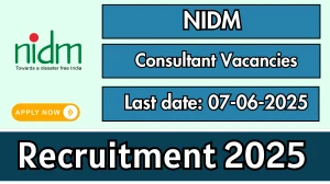 NIDM Consultant Recruitment 2025 - Apply Offline for 02 Posts