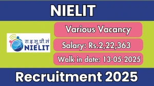 NIELIT Recruitment 2025 - Walk in for Consultant, System Analyst and More Posts