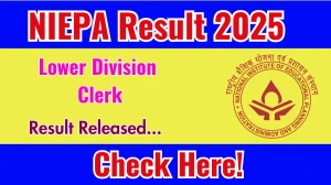 NIEPA LDC Result 2025 Out at niepa.ac.in, Direct Link to Download Result PDF Here