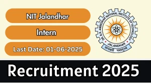 NIT Jalandhar Intern Recruitment 2025 - Apply Offline