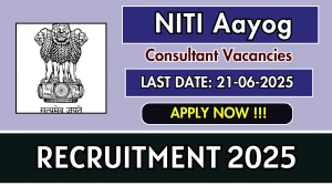 NITI Aayog Consultant Recruitment 2025 - Apply Offline for 20 Posts NITI Aayog Consultant Recruitment 2025 - Apply Offline for 20 Posts