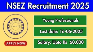 NSEZ Young Professionals Recruitment 2025 - Apply Offline for 03 Posts