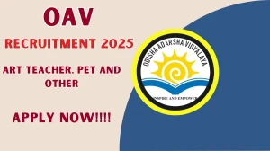 OAV Recruitment 2025 - Apply Offline for 03 Art Teacher, PET and Other Posts OAV Recruitment 2025 - Apply Offline for 03 Art Teacher, PET and Other Posts