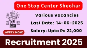 One Stop Center Sheohar Recruitment 2025 - Apply Online for 06 Case Worker, Multipurpose Worker and Other Posts One Stop Center Sheohar Recruitment 2025 - Apply Online for 06 Case Worker, Multipurpose Worker and Other Posts