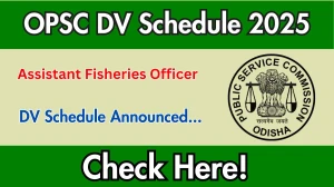 OPSC Assistant Fisheries Officer DV Schedule 2025: Check Document Verification Date @ opsc.gov.in
