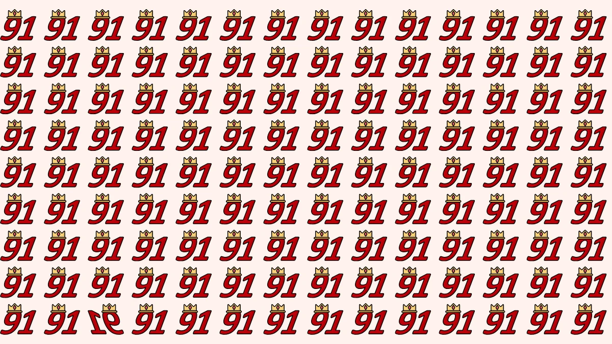 Optical Illusion: Within 9 Seconds Spot The Inverted 91 among 91