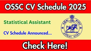 OSSC Statistical Assistant CV Schedule 2025: Check Document Verification Date @ ossc.gov.in