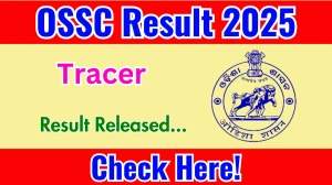 OSSC Tracer Result 2025 Out at ossc.gov.in, Direct Link to Download Result PDF Here OSSC Tracer Result 2025 Out at ossc.gov.in, Direct Link to Download Result PDF Here