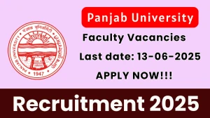 Panjab University Recruitment 2025 - Apply Online for 03 Professor, Assistant Professor and Otehr Posts