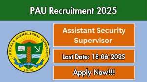 PAU Assistant Security Supervisor Recruitment 2025 - Apply Offline PAU Assistant Security Supervisor Recruitment 2025 - Apply Offline