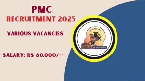 PMC Recruitment 2025 - Apply Offline for 03 Environmental Manager, City Coordinator Posts