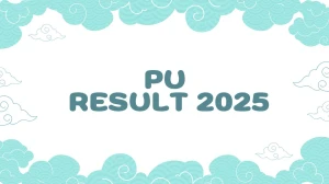 PU Result 2025 Released at puchd.ac.in Direct Link to Download 1st, 2nd, 3rd, 4th, 6th Semester Result