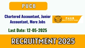 PUCB Recruitment 2025 - Apply Offline for 09 Chartered Accountant, Junior Accountant, More Posts